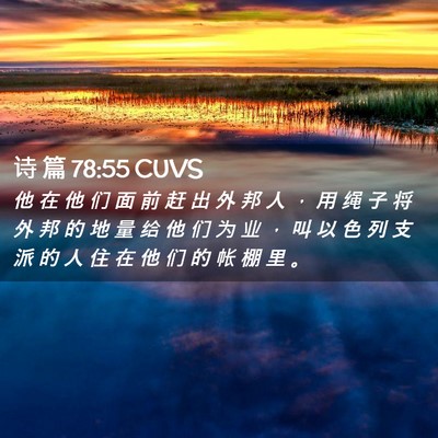 Picture 02 - 诗 篇 78:55 CUVS - 他 在 他 们 面 前 赶 出 外 邦 人 ， - Bible Verse Picture
