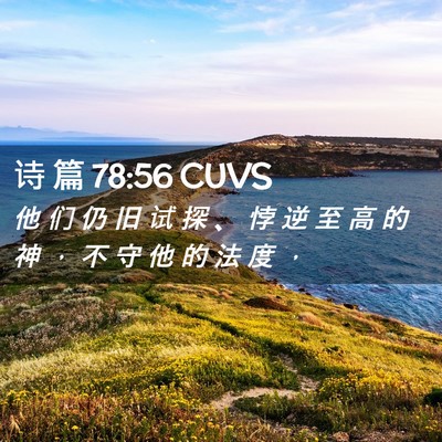 Picture 02 - 诗 篇 78:56 CUVS - 他 们 仍 旧 试 探 、 悖 逆 至 高 的 - Bible Verse Picture