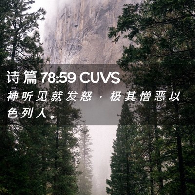 Picture 02 - 诗 篇 78:59 CUVS - 神 听 见 就 发 怒 ， 极 其 憎 恶 以 - Bible Verse Picture