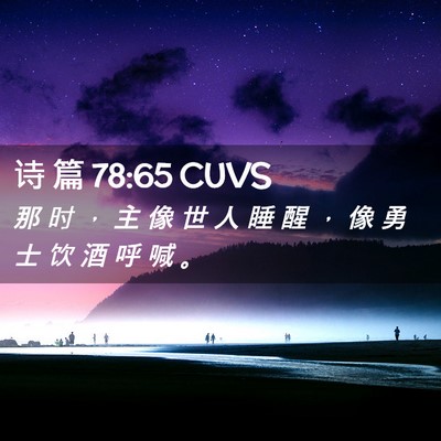 Picture 02 - 诗 篇 78:65 CUVS - 那 时 ， 主 像 世 人 睡 醒 ， 像 勇 - Bible Verse Picture