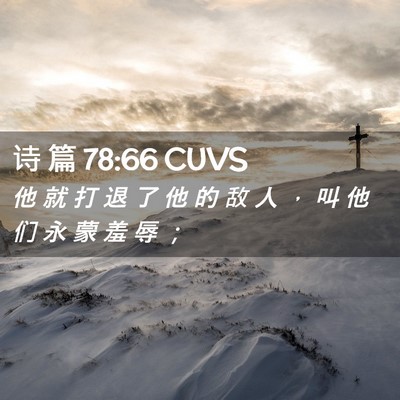 Picture 02 - 诗 篇 78:66 CUVS - 他 就 打 退 了 他 的 敌 人 ， 叫 他 - Bible Verse Picture