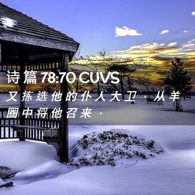 Picture 02 - 诗 篇 78:70 CUVS - 又 拣 选 他 的 仆 人 大 卫 ， 从 羊 - Bible Verse Picture