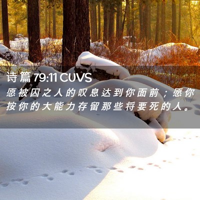 Picture 02 - 诗 篇 79:11 CUVS - 愿 被 囚 之 人 的 叹 息 达 到 你 面 - Bible Verse Picture