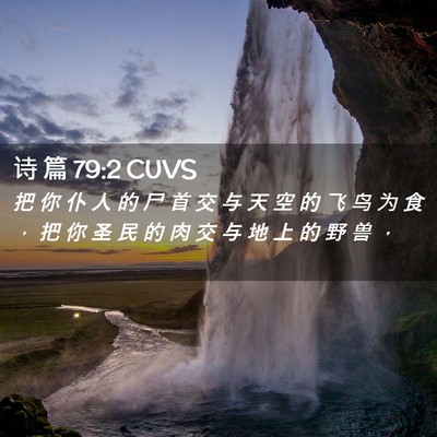 Picture 02 - 诗 篇 79:2 CUVS - 把 你 仆 人 的 尸 首 交 与 天 空 的 - Bible Verse Picture