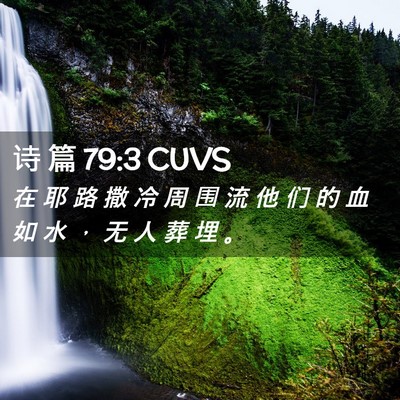 Picture 02 - 诗 篇 79:3 CUVS - 在 耶 路 撒 冷 周 围 流 他 们 的 血 - Bible Verse Picture