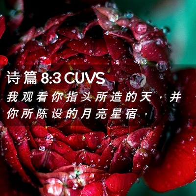Picture 02 - 诗 篇 8:3 CUVS - 我 观 看 你 指 头 所 造 的 天 ， 并 - Bible Verse Picture
