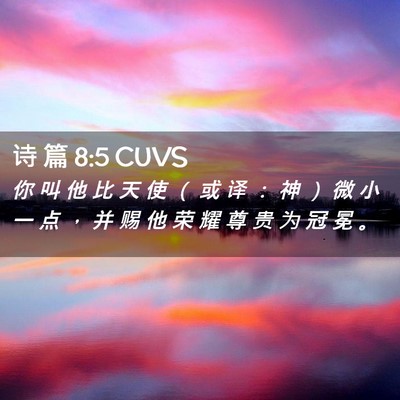 Picture 02 - 诗 篇 8:5 CUVS - 你 叫 他 比 天 使 （ 或 译 ： 神 ） - Bible Verse Picture