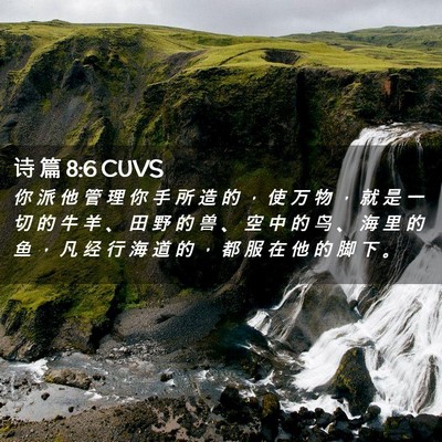 Picture 02 - 诗 篇 8:6 CUVS - 你 派 他 管 理 你 手 所 造 的 ， 使 - Bible Verse Picture
