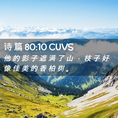 Picture 02 - 诗 篇 80:10 CUVS - 他 的 影 子 遮 满 了 山 ， 枝 子 好 - Bible Verse Picture