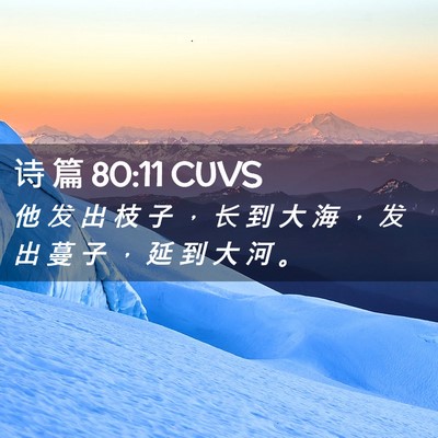 Picture 02 - 诗 篇 80:11 CUVS - 他 发 出 枝 子 ， 长 到 大 海 ， 发 - Bible Verse Picture