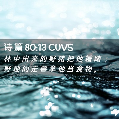 Picture 02 - 诗 篇 80:13 CUVS - 林 中 出 来 的 野 猪 把 他 糟 踏 ； - Bible Verse Picture