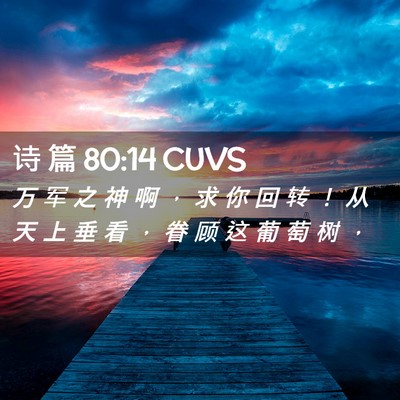 Picture 02 - 诗 篇 80:14 CUVS - 万 军 之 神 啊 ， 求 你 回 转 ！ 从 - Bible Verse Picture