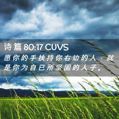 Picture 02 - 诗 篇 80:17 CUVS - 愿 你 的 手 扶 持 你 右 边 的 人 ， - Bible Verse Picture