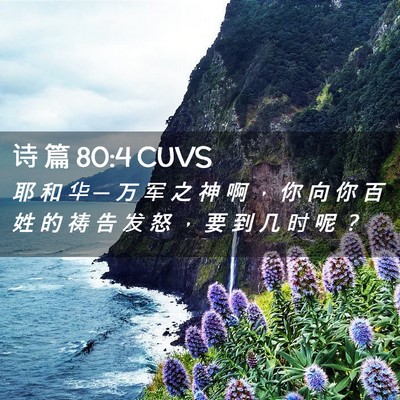 Picture 02 - 诗 篇 80:4 CUVS - 耶 和 华 ─ 万 军 之 神 啊 ， 你 向 - Bible Verse Picture
