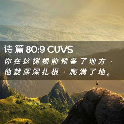 Picture 02 - 诗 篇 80:9 CUVS - 你 在 这 树 根 前 预 备 了 地 方 ， - Bible Verse Picture