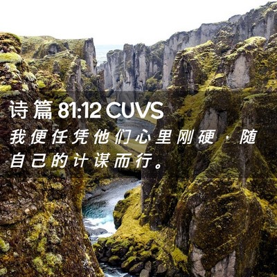 Picture 02 - 诗 篇 81:12 CUVS - 我 便 任 凭 他 们 心 里 刚 硬 ， 随 - Bible Verse Picture