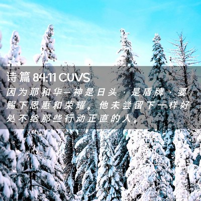Picture 02 - 诗 篇 84:11 CUVS - 因 为 耶 和 华 ─ 神 是 日 头 ， 是 - Bible Verse Picture
