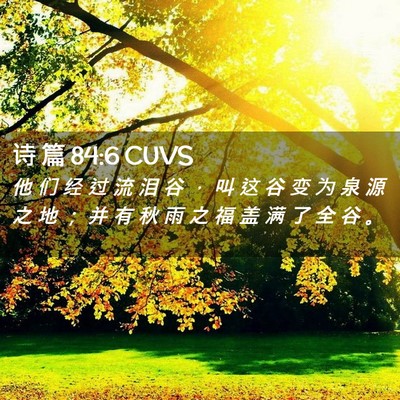 Picture 02 - 诗 篇 84:6 CUVS - 他 们 经 过 流 泪 谷 ， 叫 这 谷 变 - Bible Verse Picture