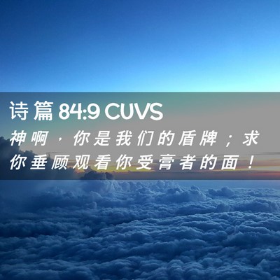 Picture 02 - 诗 篇 84:9 CUVS - 神 啊 ， 你 是 我 们 的 盾 牌 ； 求 - Bible Verse Picture