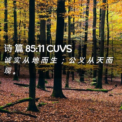 Picture 02 - 诗 篇 85:11 CUVS - 诚 实 从 地 而 生 ； 公 义 从 天 而 - Bible Verse Picture