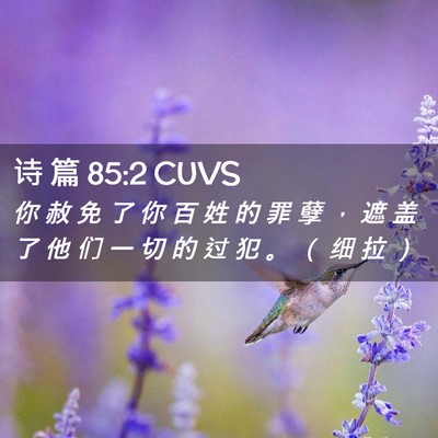 Picture 02 - 诗 篇 85:2 CUVS - 你 赦 免 了 你 百 姓 的 罪 孽 ， 遮 - Bible Verse Picture