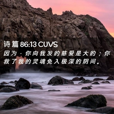 Picture 02 - 诗 篇 86:13 CUVS - 因 为 ， 你 向 我 发 的 慈 爱 是 大 - Bible Verse Picture