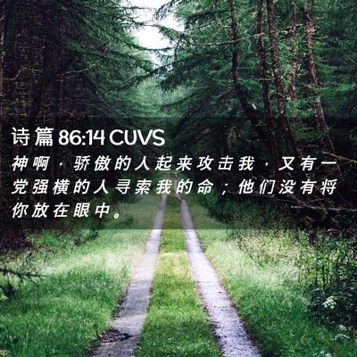 Picture 02 - 诗 篇 86:14 CUVS - 神 啊 ， 骄 傲 的 人 起 来 攻 击 我 - Bible Verse Picture
