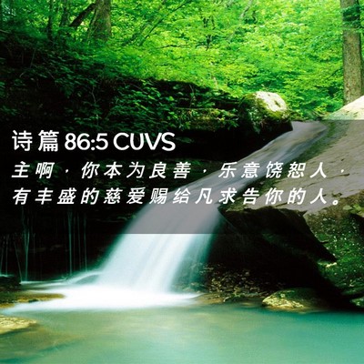 Picture 02 - 诗 篇 86:5 CUVS - 主 啊 ， 你 本 为 良 善 ， 乐 意 饶 - Bible Verse Picture