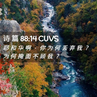 Picture 02 - 诗 篇 88:14 CUVS - 耶 和 华 啊 ， 你 为 何 丢 弃 我 ？ - Bible Verse Picture
