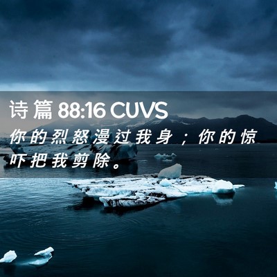 Picture 02 - 诗 篇 88:16 CUVS - 你 的 烈 怒 漫 过 我 身 ； 你 的 惊 - Bible Verse Picture