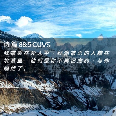 Picture 02 - 诗 篇 88:5 CUVS - 我 被 丢 在 死 人 中 ， 好 像 被 杀 - Bible Verse Picture