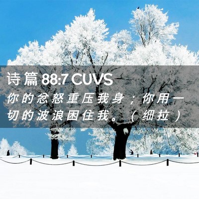 Picture 02 - 诗 篇 88:7 CUVS - 你 的 忿 怒 重 压 我 身 ； 你 用 一 - Bible Verse Picture