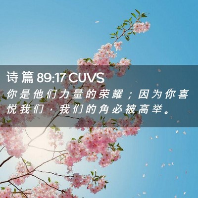 Picture 02 - 诗 篇 89:17 CUVS - 你 是 他 们 力 量 的 荣 耀 ； 因 为 - Bible Verse Picture