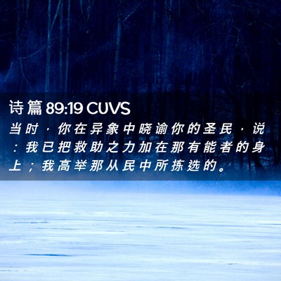 Picture 02 - 诗 篇 89:19 CUVS - 当 时 ， 你 在 异 象 中 晓 谕 你 的 - Bible Verse Picture