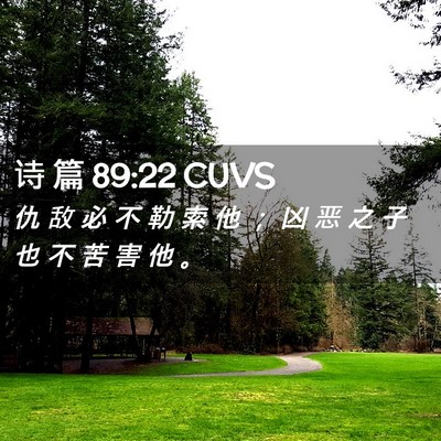 Picture 02 - 诗 篇 89:22 CUVS - 仇 敌 必 不 勒 索 他 ； 凶 恶 之 子 - Bible Verse Picture