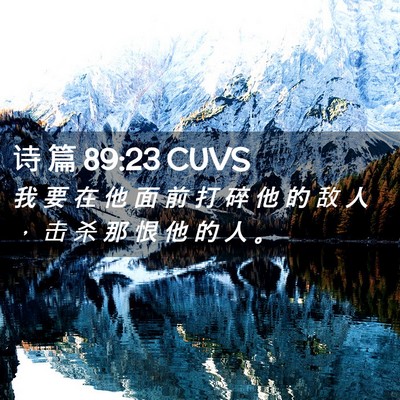 Picture 02 - 诗 篇 89:23 CUVS - 我 要 在 他 面 前 打 碎 他 的 敌 人 - Bible Verse Picture