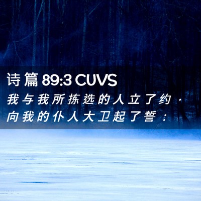 Picture 02 - 诗 篇 89:3 CUVS - 我 与 我 所 拣 选 的 人 立 了 约 ， - Bible Verse Picture