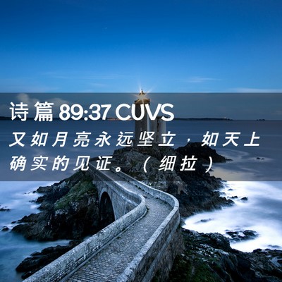 Picture 02 - 诗 篇 89:37 CUVS - 又 如 月 亮 永 远 坚 立 ， 如 天 上 - Bible Verse Picture