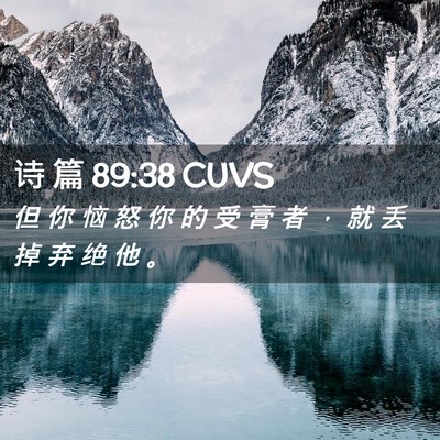 Picture 02 - 诗 篇 89:38 CUVS - 但 你 恼 怒 你 的 受 膏 者 ， 就 丢 - Bible Verse Picture