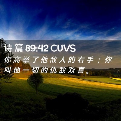Picture 02 - 诗 篇 89:42 CUVS - 你 高 举 了 他 敌 人 的 右 手 ； 你 - Bible Verse Picture
