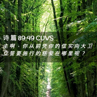 Picture 02 - 诗 篇 89:49 CUVS - 主 啊 ， 你 从 前 凭 你 的 信 实 向 - Bible Verse Picture