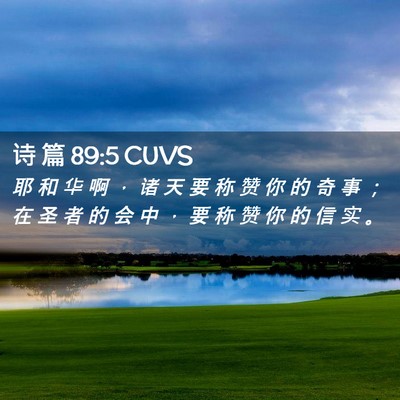 Picture 02 - 诗 篇 89:5 CUVS - 耶 和 华 啊 ， 诸 天 要 称 赞 你 的 - Bible Verse Picture
