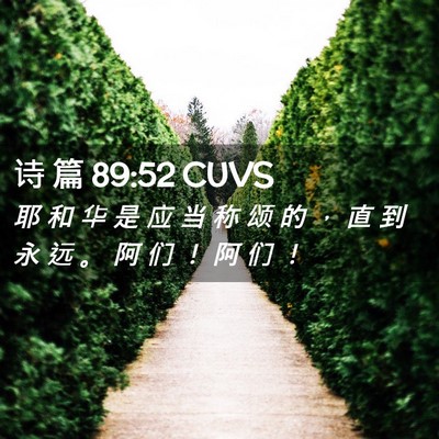 Picture 02 - 诗 篇 89:52 CUVS - 耶 和 华 是 应 当 称 颂 的 ， 直 到 - Bible Verse Picture