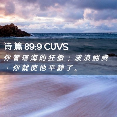 Picture 02 - 诗 篇 89:9 CUVS - 你 管 辖 海 的 狂 傲 ； 波 浪 翻 腾 - Bible Verse Picture