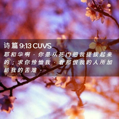 Picture 02 - 诗 篇 9:13 CUVS - 耶 和 华 啊 ， 你 是 从 死 门 把 我 - Bible Verse Picture