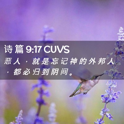 Picture 02 - 诗 篇 9:17 CUVS - 恶 人 ， 就 是 忘 记 神 的 外 邦 人 - Bible Verse Picture