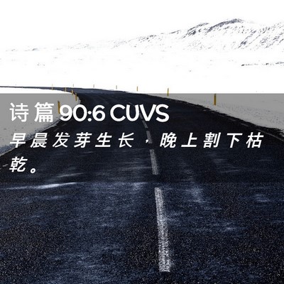 Picture 02 - 诗 篇 90:6 CUVS - 早 晨 发 芽 生 长 ， 晚 上 割 下 枯 - Bible Verse Picture