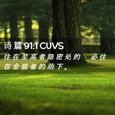 Picture 02 - 诗 篇 91:1 CUVS - 住 在 至 高 者 隐 密 处 的 ， 必 住 - Bible Verse Picture