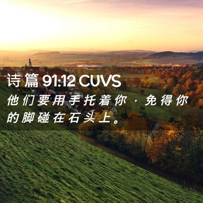 Picture 02 - 诗 篇 91:12 CUVS - 他 们 要 用 手 托 着 你 ， 免 得 你 - Bible Verse Picture