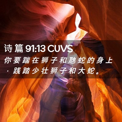 Picture 02 - 诗 篇 91:13 CUVS - 你 要 踹 在 狮 子 和 虺 蛇 的 身 上 - Bible Verse Picture